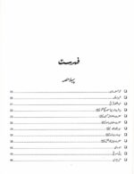 Punjabi Marozi Sawalat By Dr Sayed Akhtar Jafri JWT - Image 2